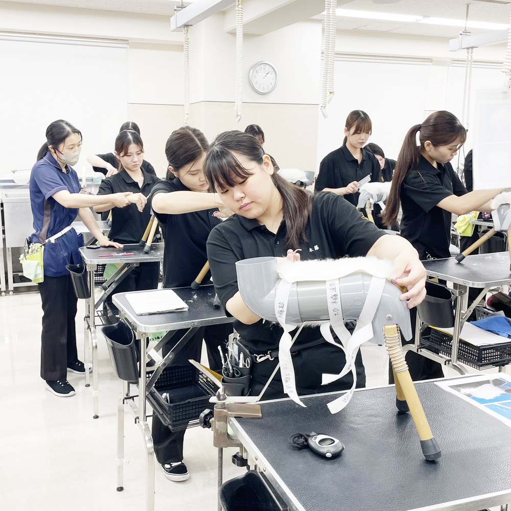 １年生はグルーミングとカット強化☆
